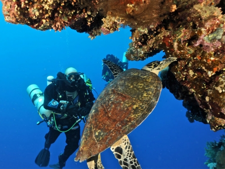 Red Sea and Sinai